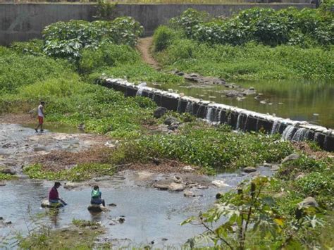 Estiaje seca el río Jamapa presenta muy bajo nivel de agua