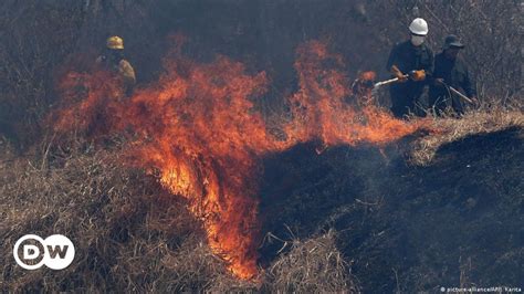 Bolivia Incendios Han Alcanzado Casi 300000 Hectáreas Dw 28082022