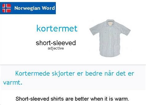 Pin By Silviya On Norwegian Grammar Norwegian Words Adjectives Words