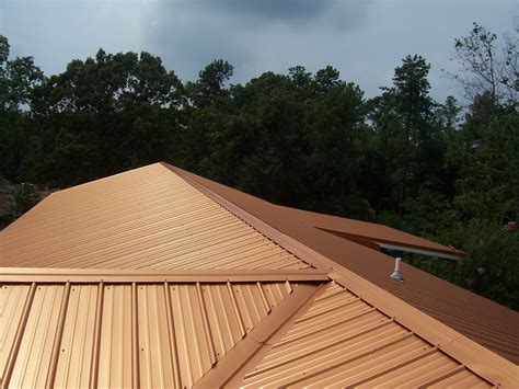 What Are The Benefits To Hire A Metal Professional Metal Roof Painter