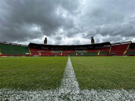 Palmeiras X Portuguesa Onde Assistir Ao Vivo Que Horas Descubra A