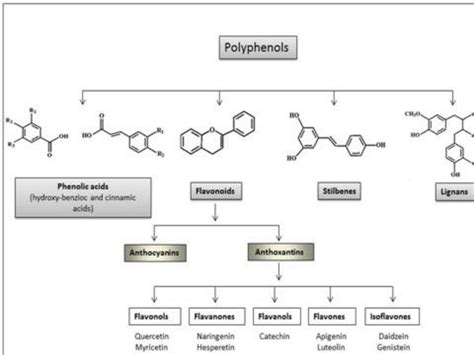 SOLUTION: Flavonoids classification identification and examples - Studypool 