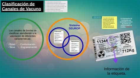 Como Leer Las Etiquetas En La Carnicer A By Jes S Ngel L Pez Sixto On