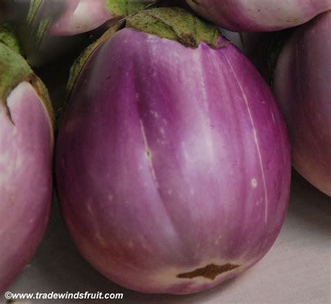 Rosa Bianca Eggplant Heirloom Seeds