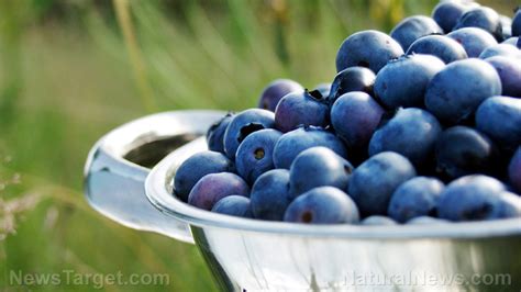 Proanthocyanidins sources, health benefits and uses