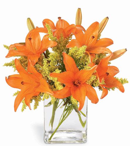 Janousek Florist - Thanksgiving - Orange Lilies