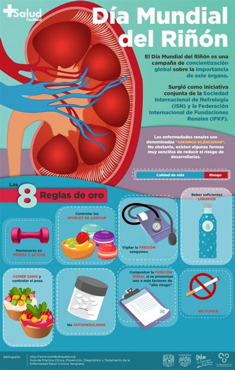 Las Reglas De Oro Para El Cuidado De Tus Riñones Salud Facmed