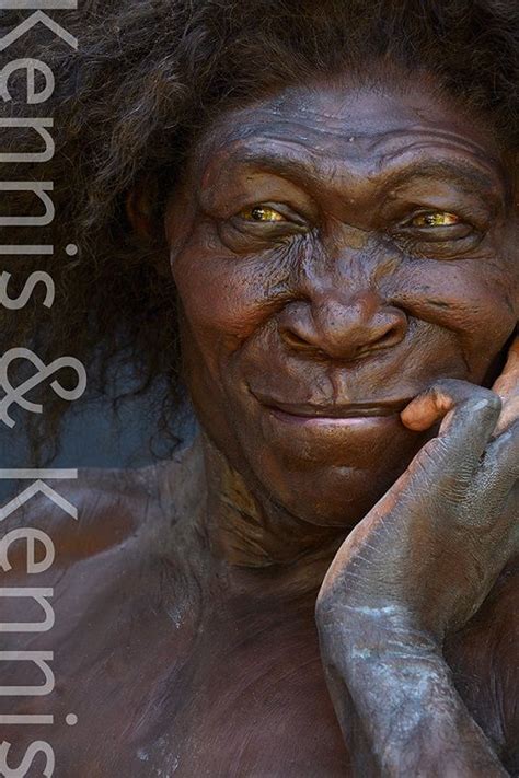 Kennis Kennis Reconstructions Ancient Humans Prehistoric World