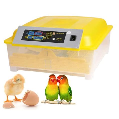 Couveuse Oeufs Avec Led De Mirage Incubateur Pour Volaille