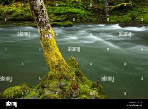 Oregon River Nestucca Hi Res Stock Photography And Images Alamy