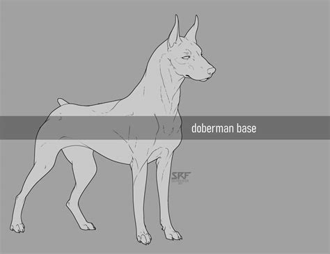 Doberman Base By Sgtrayfox On Deviantart