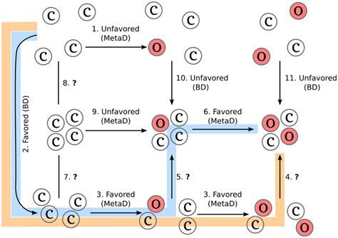 Proposed oligomerization steps. Diagram showing the possible pathways ...