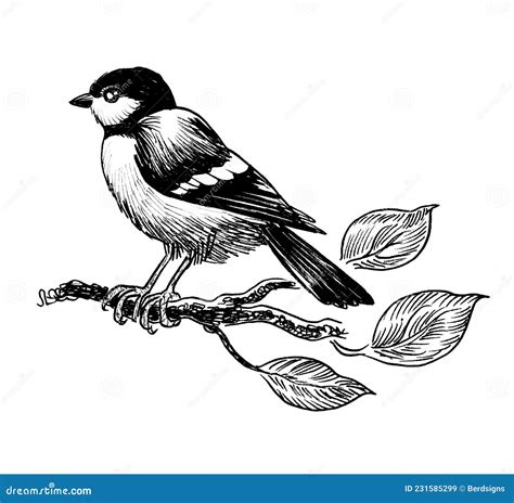 Pájaro En Una Rama De árbol Stock de ilustración Ilustración de tinta