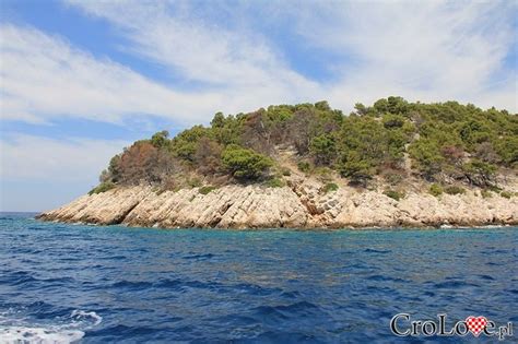 An Island In The Middle Of The Ocean With Trees On It S Top And Water Below