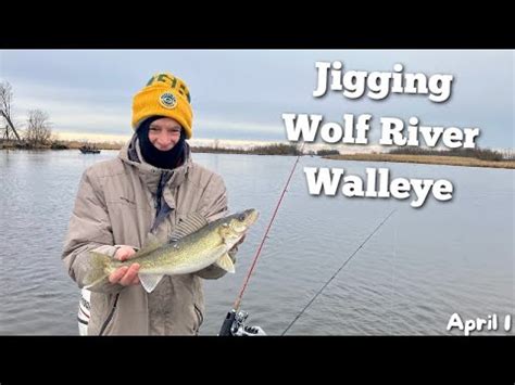 Wolf River Walleye In Spring JIGGING Walleye On The Wolf River Spring