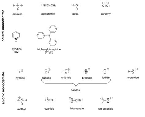 112 Building Blocks Metal Ions And Ligands In Transition Metal