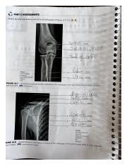 124 PART C ASSESSMENTS Identify The Bones And Features Indicated