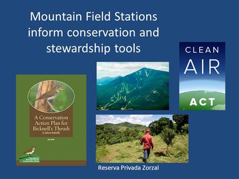 Identifying And Strengthening Tools For Mountain Stewardship Susan