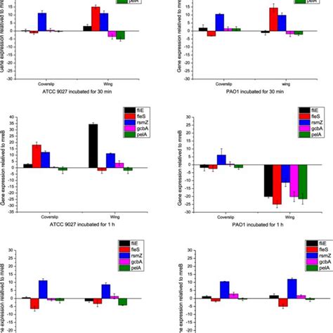 Transcriptional Profile Of P Aeruginosa Genes That Aid In Motility Download Scientific Diagram