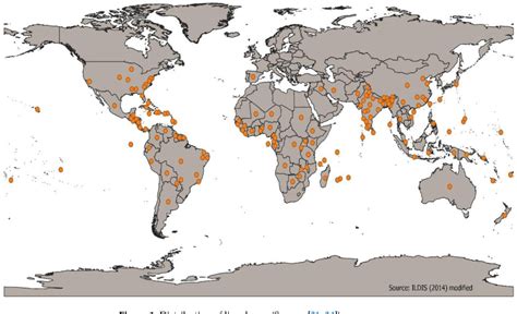 Figure From A Review On The Potential Food Application Of Lima Beans