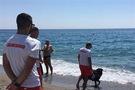 Vacanze En Sicurezza Irc Pi Defibrillatori In Spiagge E Rifugi