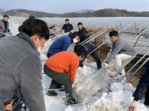 국립농산물품질관리원 폭설 피해농가 일손돕기