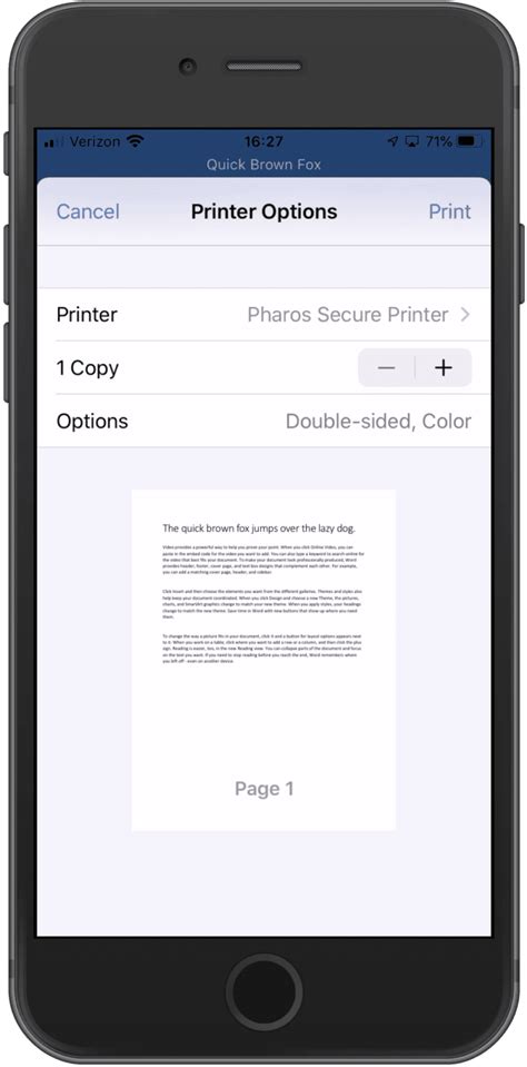 Sentry Print Setup Guide