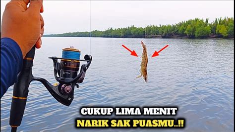 Luar Biasa Niat Mau Pulang Malah Pesta Strike Ikan Lezat Di Spot