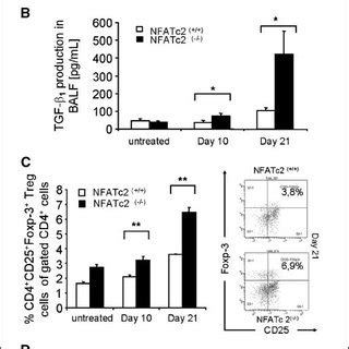 Defective CD8 Effector T Cells Favor Expansion Of CD4 CD25 Foxp 3