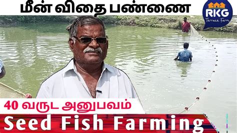 மீன் விதை பண்ணை மீன் குஞ்சு விற்பனை Seed Fish Farming Rkg Terrace