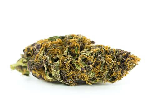 Purple Space Cookies Weedpedia Coupons And Reviews