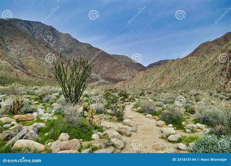 The Borrego Palm Canyon Trail Anza Borrego Desert State Park