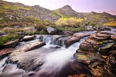 Wildlife Enthusiast's Guide to Dartmoor - Nature Roamer