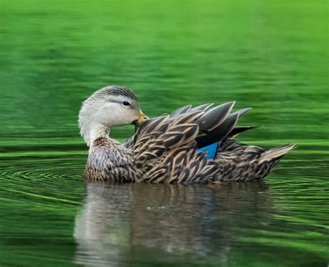 2214638509 - Home [www.facebook.com]