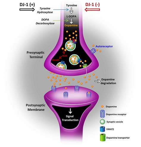 Parkinson's Disease