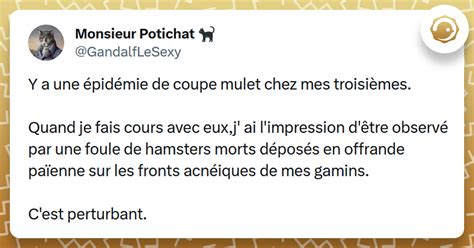 Top Des Meilleurs Tweets Sur La Coupe Mulet Twog