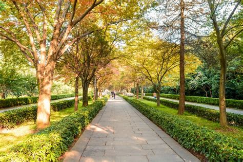 Elephant Road of the Ming Xiaoling Mausoleum Stock Photo - Image of ...