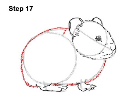 How To Draw A Pika Video And Step By Step Pictures