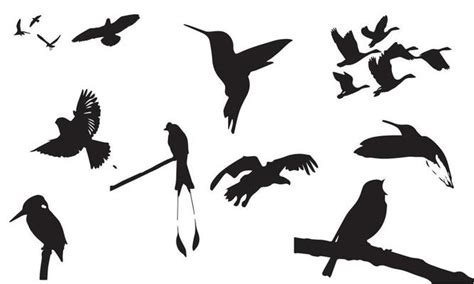 Bird Line Drawing Vector Art, Icons, and Graphics for Free Download