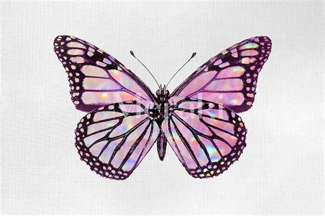 Pink Holographic Butterfly PNG JPG Digital DOWNLOAD Clipart | Etsy