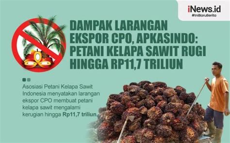 Infografis Dampak Larangan Ekspor CPO Apkasindo Petani Kelapa Sawit