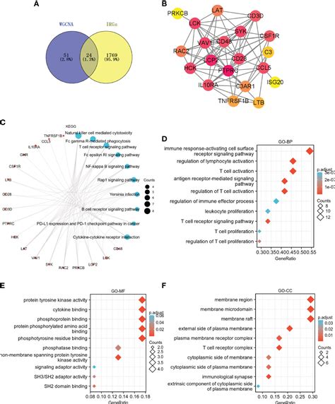 Frontiers Bioinformatics Analysis Identifies Immune Related Gene