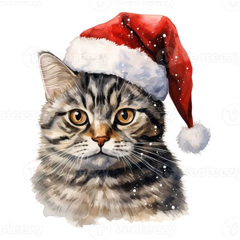 Ai Generated Domestic Shorthair Cat Wearing A Santa Hat Ai Generated