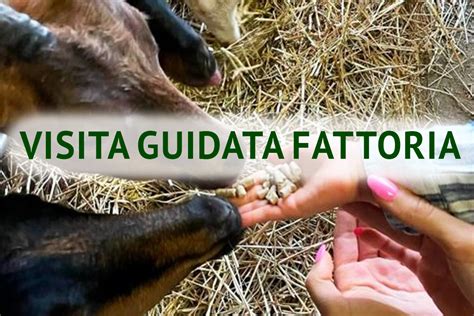 Visita Guidata In Fattoria Sabato E Domenica Novembre L Agricola