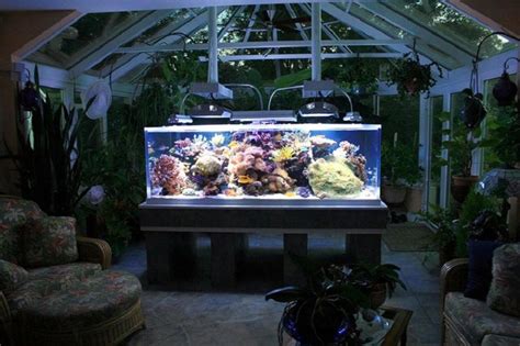 Аквариум на даче (71 фото) » НА ДАЧЕ ФОТО