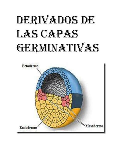 Derivados De Las Capas Germinativas Isaias UDocz