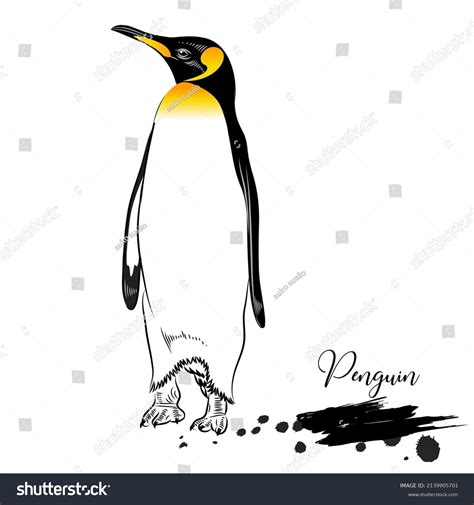 Penguin Animal Realistic Sketch Vector Illustration Stock Vector ...