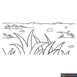 Grass Coloring Page | Easy Drawing Guides