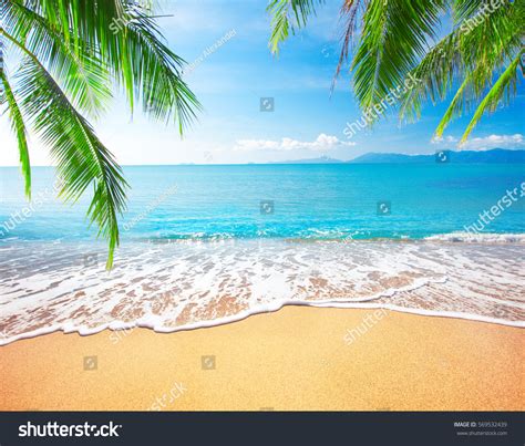 1.149.089 Abstract Beach Summer Images, Stock Photos & Vectors ...