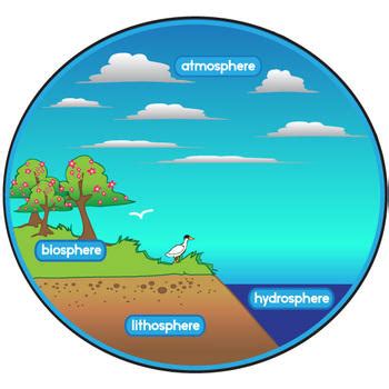 Components Of Environment Definition Chart Pdf Diagram